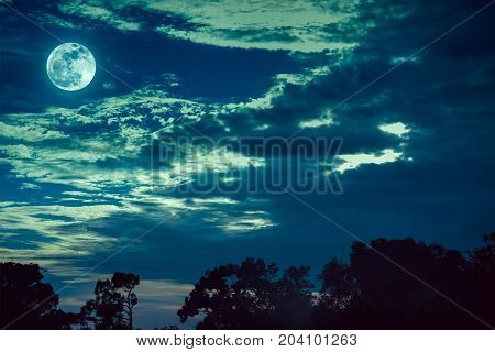 Sky With Clouds And Moon Above Silhouettes Of Trees. Serenity Nature Background.