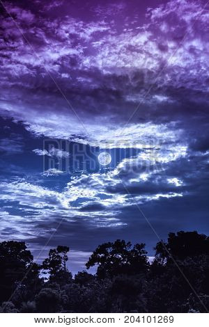 Sky With Clouds And Moon Above Silhouettes Of Trees. Serenity Nature Background.