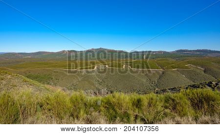 Panoramic view of mountain range with forest and firebreaks