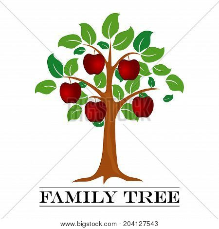A vector illustration of Family Tree Template