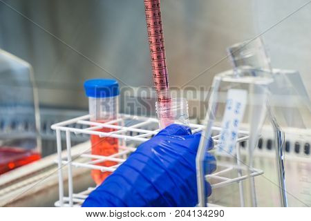 Laboratory work with professional pipetts. Cell splitting work