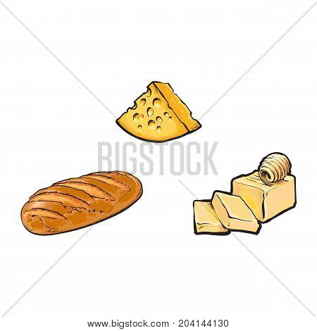 Vector sketch cartoon piece of porous cheese with holes, butter bar with slices, white bread loaf set. Isolated illustration on a white background. Healthy food dairy products, natural dieting concept