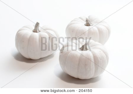 Zucca in miniatura