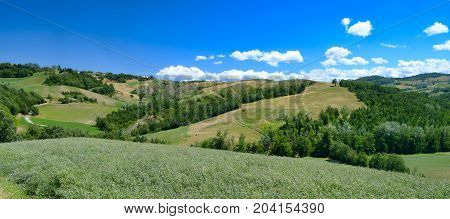 Summer landscape near Rivalta di Lesignano de Bagni (Parma Emilia-Romagna Italy) with the typical rocky inlets
