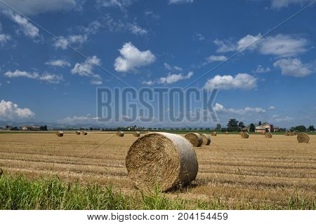 Rural landscape near Corcagnano (Parma Emilia-Romagna Italy) at summer