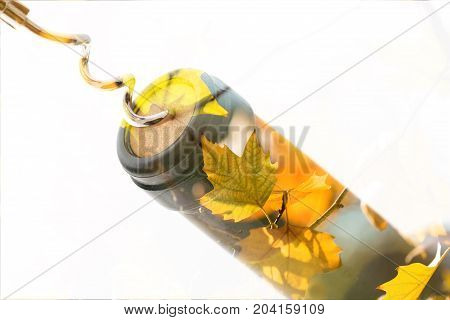 Wine bottle cork corkscrew bottle of wine copy space wine bottle