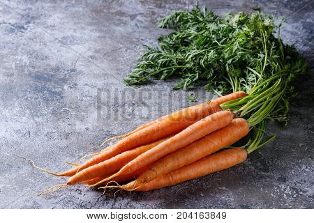 Bundle of fresh organic carrot with haulm over gray texture background.