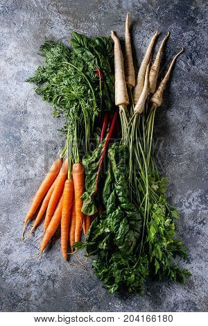 Bundle of fresh organic carrot, parsnip with haulm and chard mangold over gray texture background. Top view with space