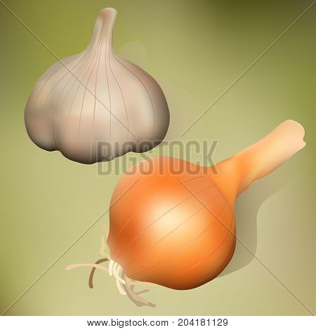 Realistic onion and garlic green background and shadows