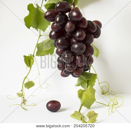 grapes on a white background. a bunch of grapes