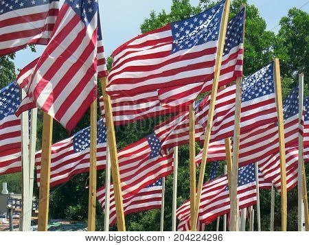 Wavering american flags on fourth of jjuly