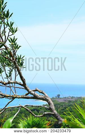 picture took from a mountain of east cost of Cuba