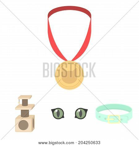 Cat's eyes, a collar, a house for a cat, a medal on a ribbon.Cat set collection icons in cartoon style vector symbol stock illustration .