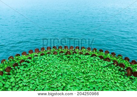 The semicircle of plant flower beds near the lake