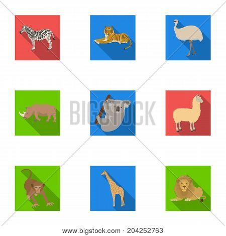 Ostrich emu, crocodile, giraffe, tiger, penguin and other wild animals. Artiodactyla, mammalian predators and animals set collection icons in flat style vector symbol stock illustration .