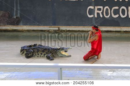 Prachuap Khiri Khan THAILAND - May 10 2017 Editorail use only;Show big crocodile on the floor in the zoo Hua HinThailand