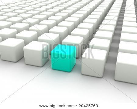 casella. 3D