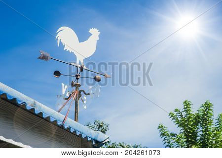 Wind Vane Or Weather Vane Chicken Style Rotate By Wind Blow To Indicator Wind Direction On Roof