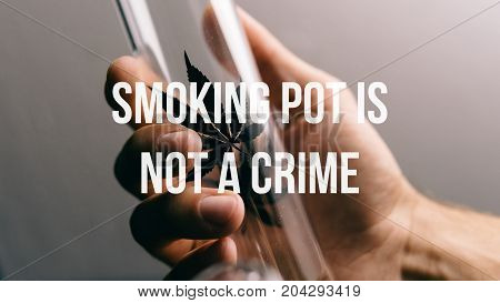 Glass Bongs For Smoking Pot Close-up Soft Focus.  Smoking Pot Is Not A Crime