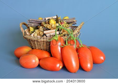 Tomatoes San Marzano, Campania, italy

Group of tomatoes San Marzano, bunch cluster, still life on gray-blue background