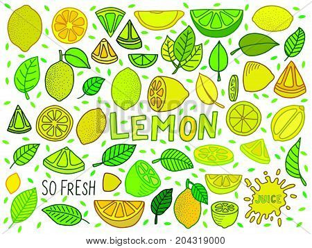lemon illustration vecto background with lemon and lemon slice