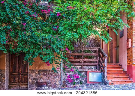 Rustic facade surrounded by plants in Italy