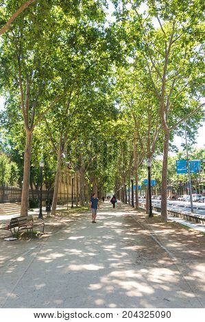 Paseo Picasso Walk In Barcelona, Next To The Ciutadella Park, On The Gothic Quarter Of Barcelona.