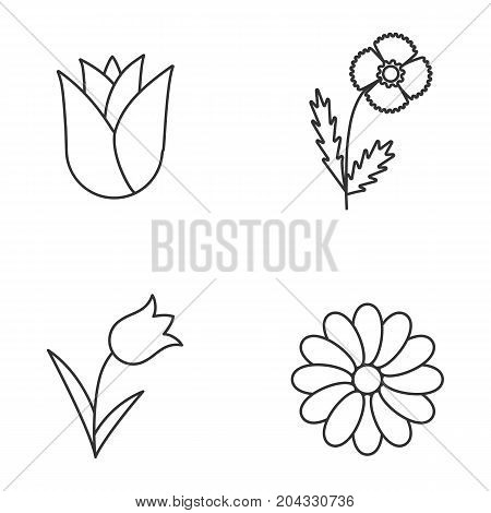 Flowers linear icons set. Rosebud, poppy, tulip, chamomile. Thin line contour symbols. Isolated vector outline illustrations