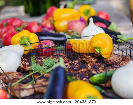 Clouse-up of vegetables and meat. Colorful table.