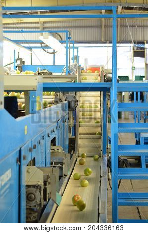 Conveyor belt with an electronic sorter machine.