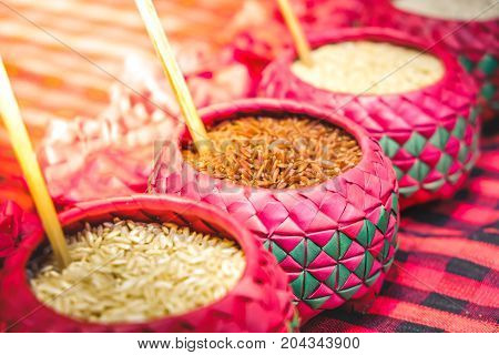 red rice purple bowl background whole grain rice various types of rice