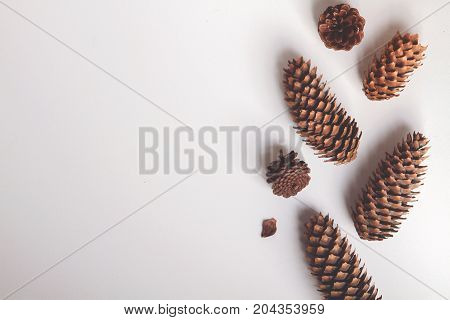 Natural cone composition pattern on white. top view. Christmas pattern background wallpaper. New Year arrangement. toned