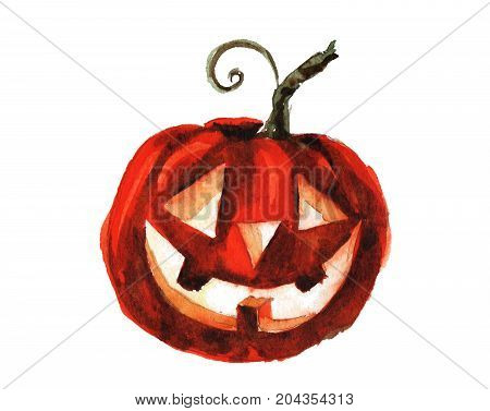 Halloween orange pumpkin kitten party background hat autumn cartoon