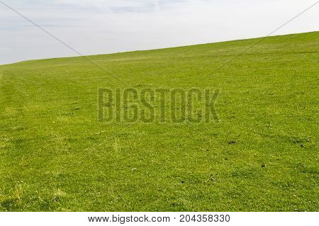 coastal scenery with grassy overgrown dam around Buesum in Dithmarschen at Schleswig-Holstein Germany