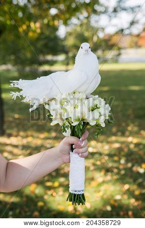 Doves on wedding bouquet outdoor near forrest
