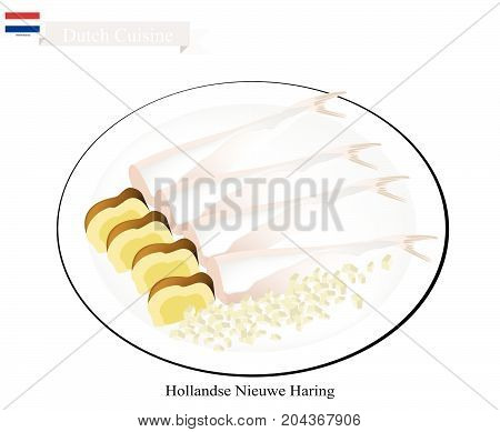 Dutch Cuisine, Hollandse Nieuwe Haring or Traditional Raw and Lightly Salted Herring. One of The Most Famous Food in Netherlands.