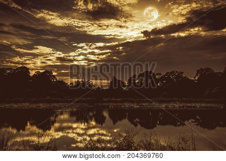 Sky With Many Star And Full Moon Above Silhouettes Of Trees And Lake. Vintage Tone.