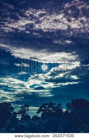 Sky With Clouds And Moon Above Silhouettes Of Trees. Serenity Nature Background.