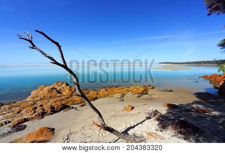 Beautiful Day In Mallacoota Australia