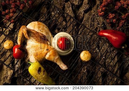 Dish On A Tree Bark