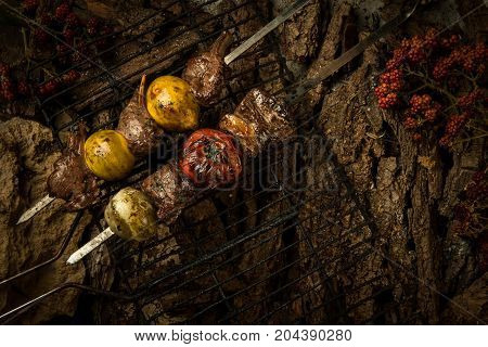 Dish On A Tree Bark