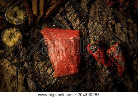 Dish On A Tree Bark