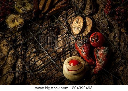 Dish On A Tree Bark