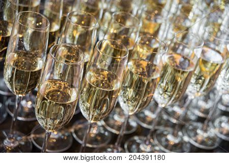 a lot of glasses with champagne stand in a row. glasses with champagne closeup
