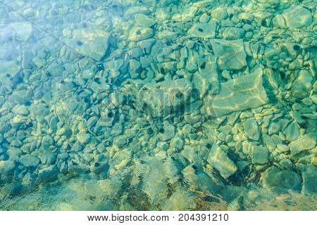 Rocky seafloor visible through turquoise transparent water and black urchin on seafloor.
