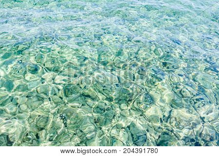 Rocky seafloor visible through turquoise transparent water and black urchin on seafloor.