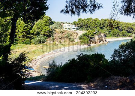 Way through silhouetted frame made of conifer canopy on seashore.