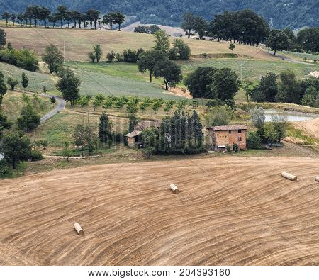 Summer landscape along the road from Serramazzoni to Marano sul Panaro (Modena Emilia Romagna Italy) at summer