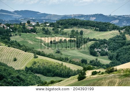 Summer landscape along the road from Maranello to Serramazzoni (Modena Emilia Romagna Italy) at summer