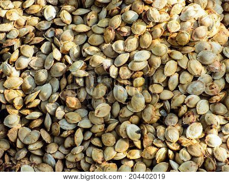 A bunch of dried appricot seeds ...